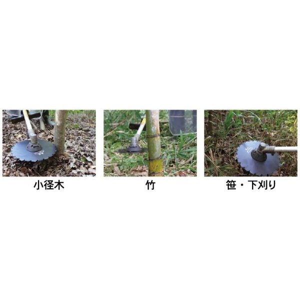 画像9: 三陽金属製   刈払機用   アサリ付きクリアソー 無双   225mm×24P 1枚   (9)