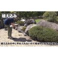 画像17: 三陽金属製  除草用具　雑草スクレーパー  (17)