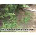 画像14: 三陽金属製  除草用具　雑草スクレーパー  (14)