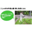 画像10: 三陽金属製  除草用具　雑草スクレーパー  (10)