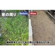 画像13: 三陽金属製  除草用具　雑草スクレーパー  (13)