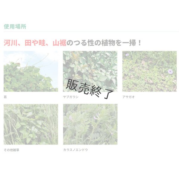 画像7: 三陽金属製  刈払機用 無双  つる草の達人  225mm×24T 1枚  (7)