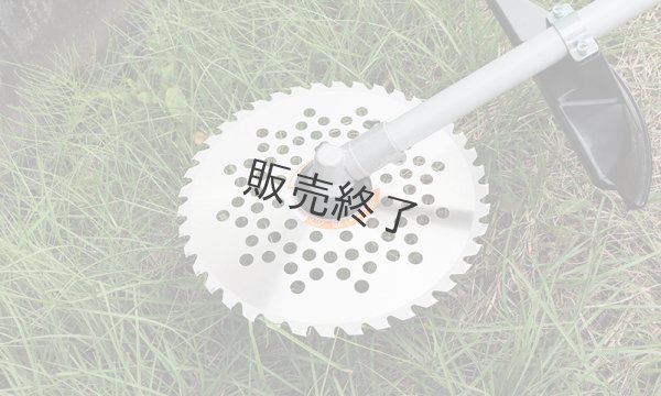 画像3: 三陽金属製  刈払機用チップソー  早刈一番  255mm×40P  (3)