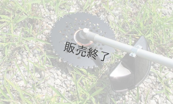 画像3: 三陽金属製  刈払機用チップソー  頑固一番  255mm×40P 1枚  (3)