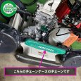 画像3: スパイダーモア用 ドライブ チェーン ASSY＃35-74L (3)