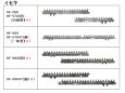 画像3: イセキコンバイン HF  刈取刃 (3)